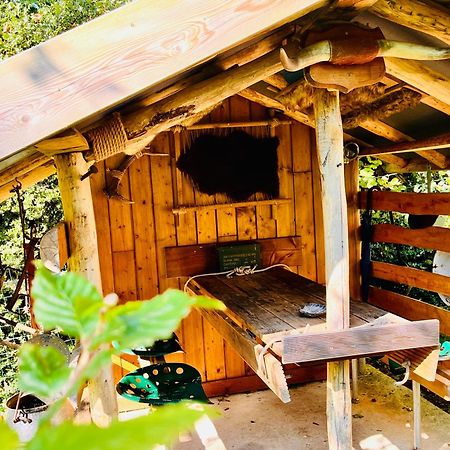 La Cabane Perchee Du Trappeur Écrainville Dış mekan fotoğraf