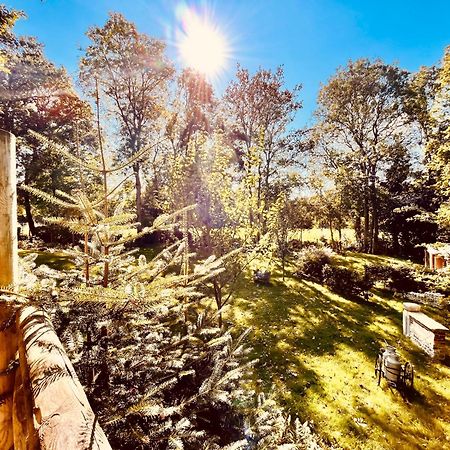 La Cabane Perchee Du Trappeur Écrainville Dış mekan fotoğraf