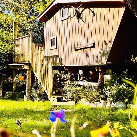 La Cabane Perchee Du Trappeur Écrainville Dış mekan fotoğraf