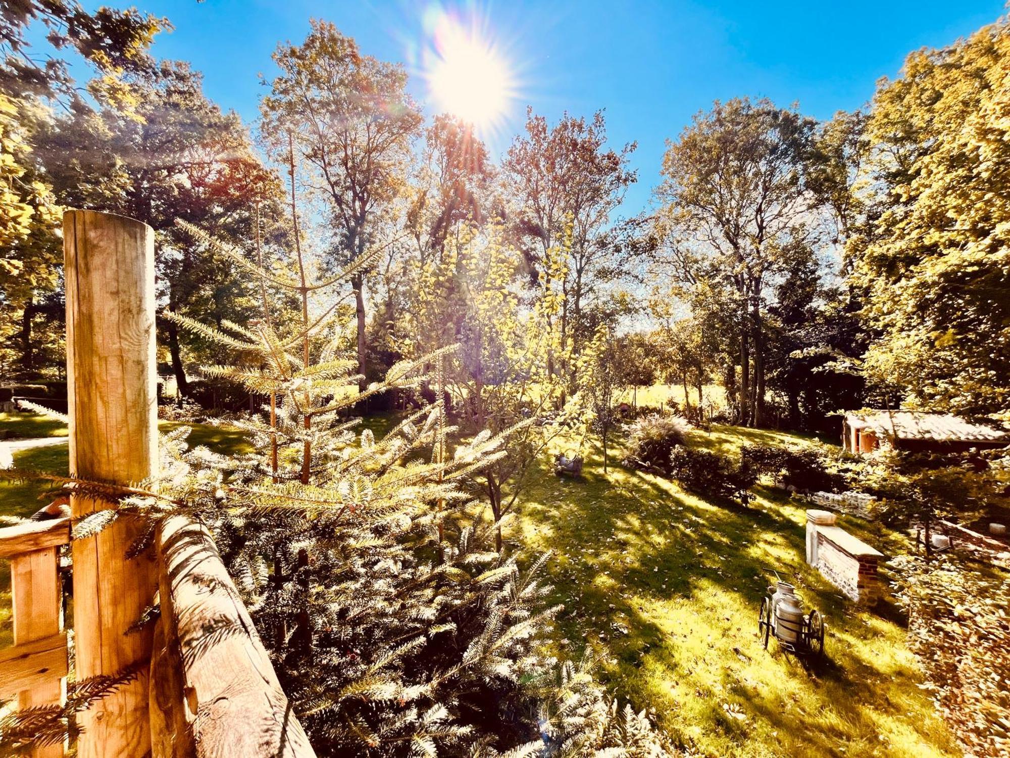 La Cabane Perchee Du Trappeur Écrainville Dış mekan fotoğraf