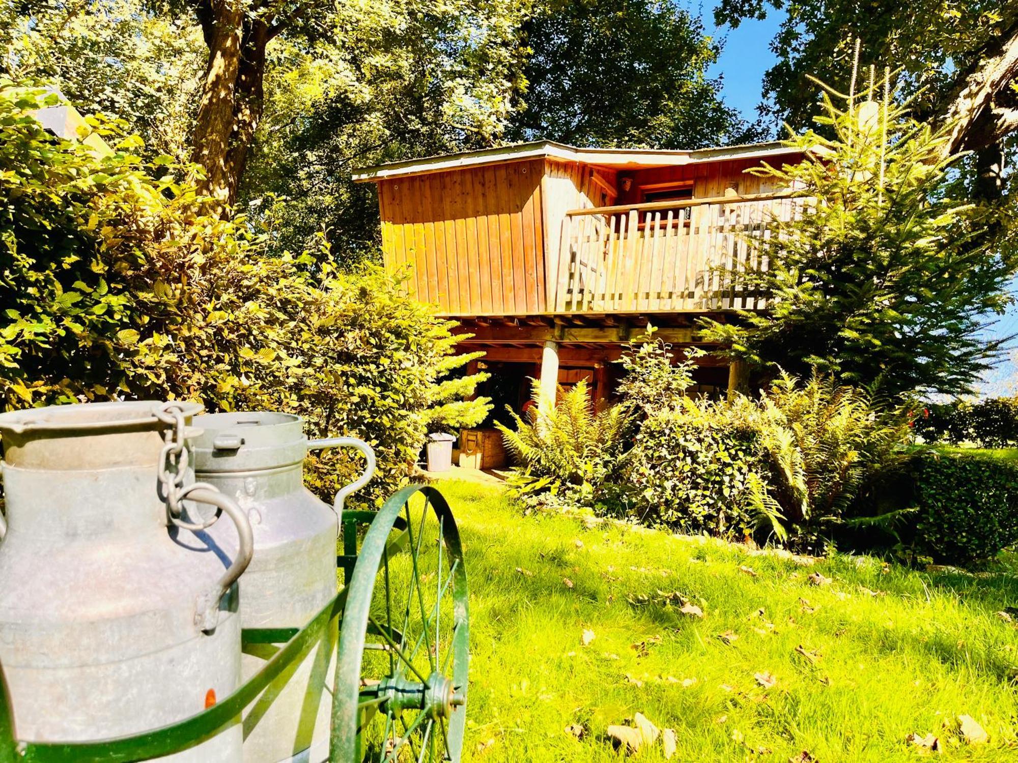 La Cabane Perchee Du Trappeur Écrainville Dış mekan fotoğraf