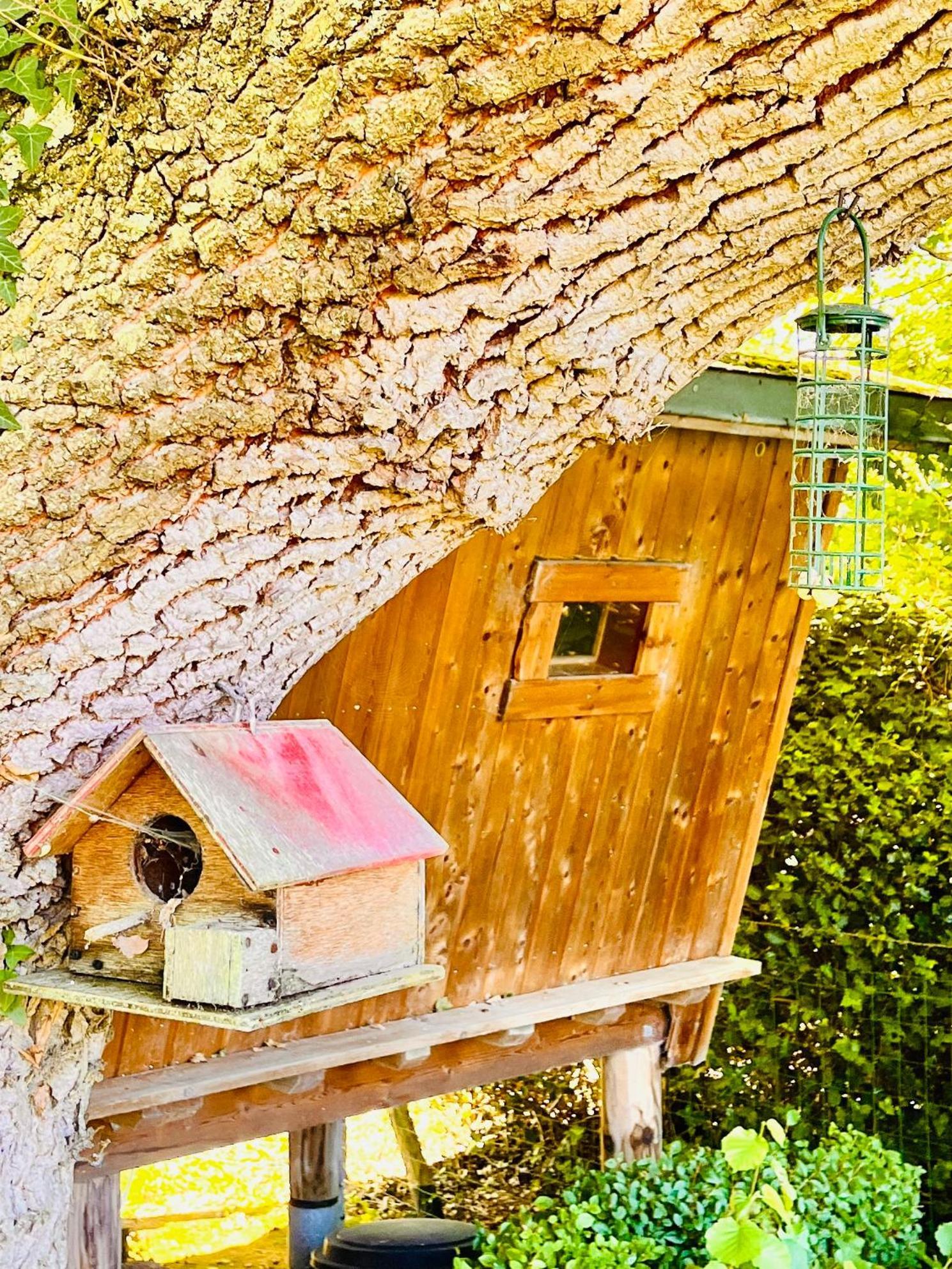 La Cabane Perchee Du Trappeur Écrainville Dış mekan fotoğraf
